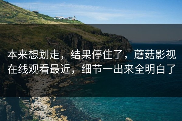 本来想划走，结果停住了，蘑菇影视在线观看最近，细节一出来全明白了