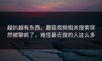 越扒越有东西，蘑菇视频相关搜索突然被聊疯了，难怪最近搜的人这么多