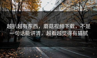越扒越有东西，蘑菇视频下载，不是一句话能讲清，越看越觉得有猫腻
