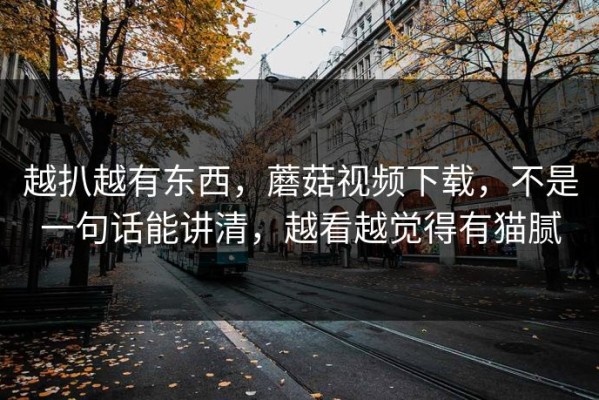 越扒越有东西，蘑菇视频下载，不是一句话能讲清，越看越觉得有猫腻
