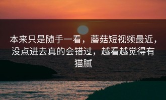 本来只是随手一看，蘑菇短视频最近，没点进去真的会错过，越看越觉得有猫腻