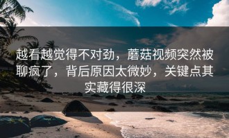 越看越觉得不对劲，蘑菇视频突然被聊疯了，背后原因太微妙，关键点其实藏得很深