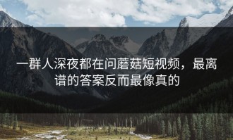 一群人深夜都在问蘑菇短视频，最离谱的答案反而最像真的