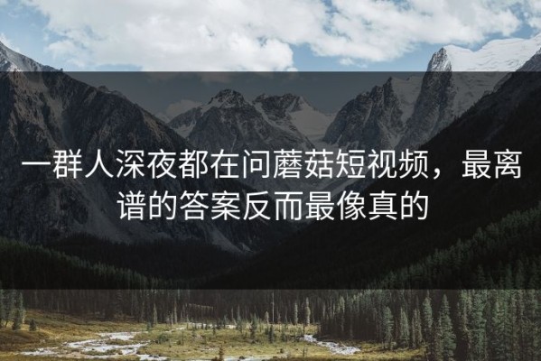 一群人深夜都在问蘑菇短视频，最离谱的答案反而最像真的
