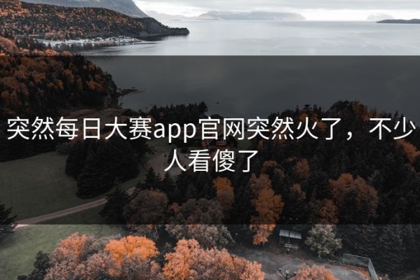 突然每日大赛app官网突然火了，不少人看傻了