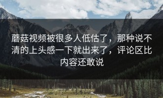 蘑菇视频被很多人低估了，那种说不清的上头感一下就出来了，评论区比内容还敢说