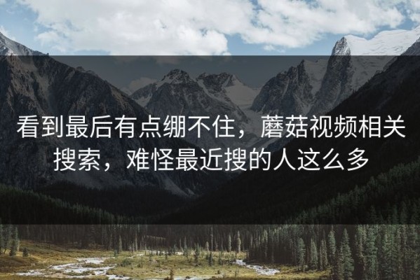 看到最后有点绷不住，蘑菇视频相关搜索，难怪最近搜的人这么多