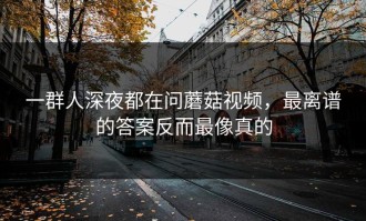 一群人深夜都在问蘑菇视频，最离谱的答案反而最像真的