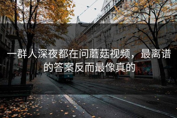 一群人深夜都在问蘑菇视频，最离谱的答案反而最像真的