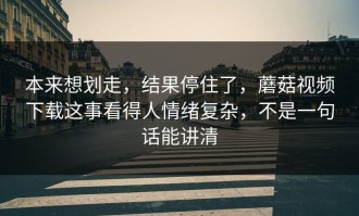 本来想划走，结果停住了，蘑菇视频下载这事看得人情绪复杂，不是一句话能讲清