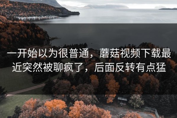 一开始以为很普通，蘑菇视频下载最近突然被聊疯了，后面反转有点猛