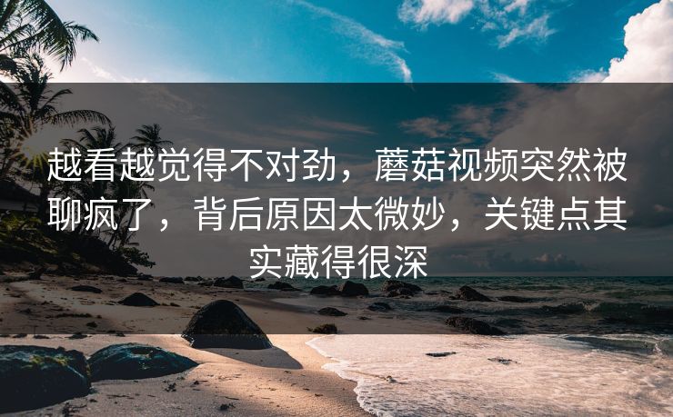 越看越觉得不对劲，蘑菇视频突然被聊疯了，背后原因太微妙，关键点其实藏得很深