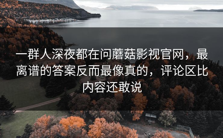 一群人深夜都在问蘑菇影视官网，最离谱的答案反而最像真的，评论区比内容还敢说