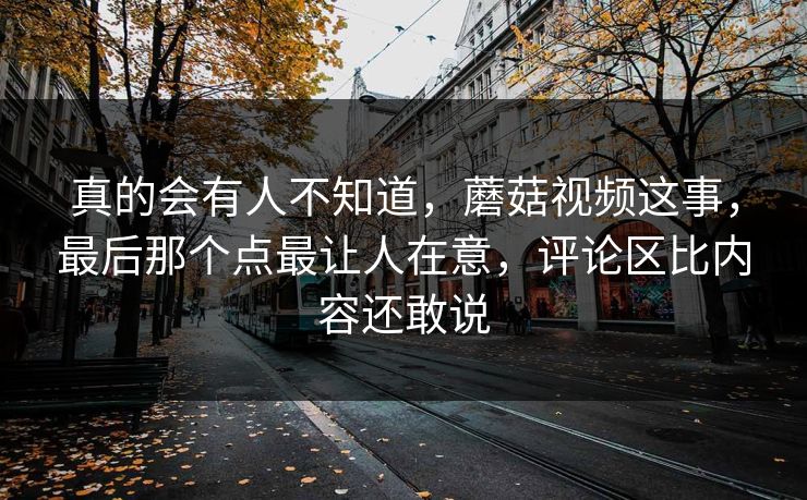 真的会有人不知道，蘑菇视频这事，最后那个点最让人在意，评论区比内容还敢说