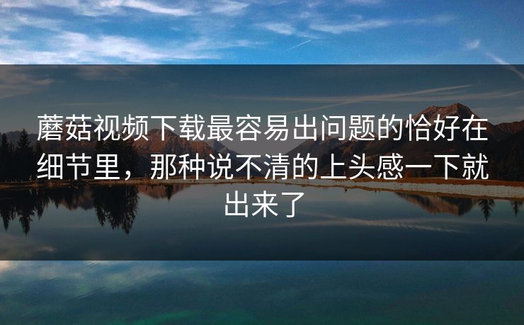 蘑菇视频下载最容易出问题的恰好在细节里，那种说不清的上头感一下就出来了