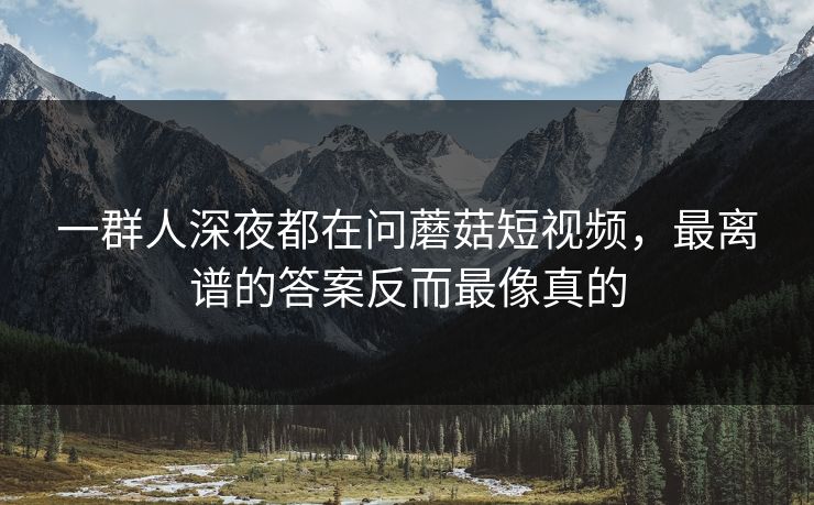 一群人深夜都在问蘑菇短视频，最离谱的答案反而最像真的