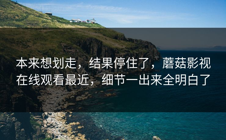 本来想划走，结果停住了，蘑菇影视在线观看最近，细节一出来全明白了