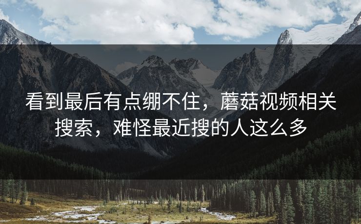 看到最后有点绷不住，蘑菇视频相关搜索，难怪最近搜的人这么多
