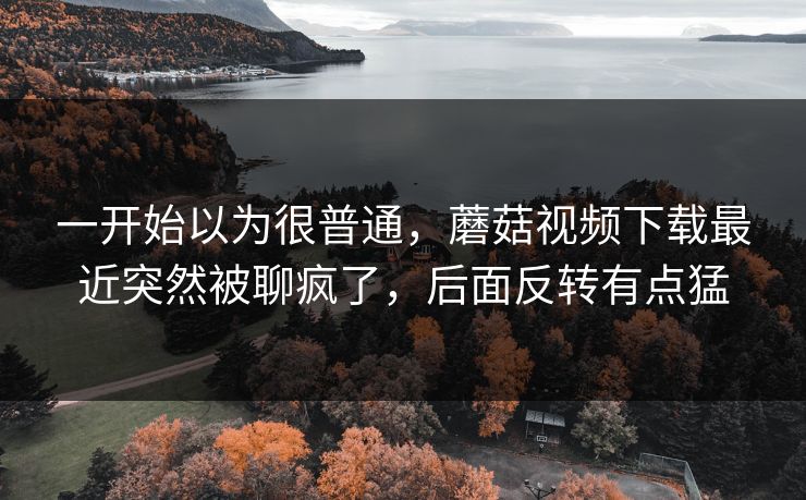 一开始以为很普通，蘑菇视频下载最近突然被聊疯了，后面反转有点猛