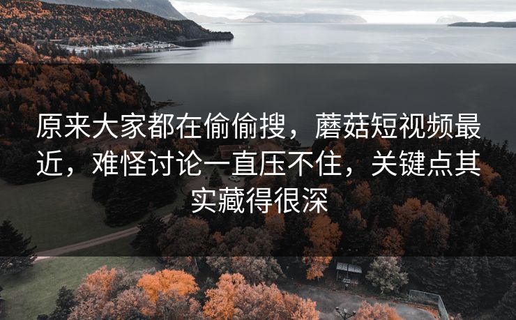 原来大家都在偷偷搜，蘑菇短视频最近，难怪讨论一直压不住，关键点其实藏得很深