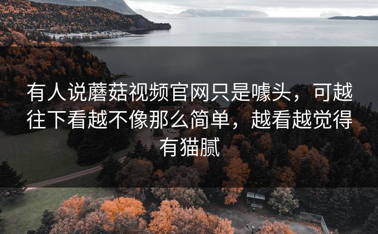 有人说蘑菇视频官网只是噱头，可越往下看越不像那么简单，越看越觉得有猫腻