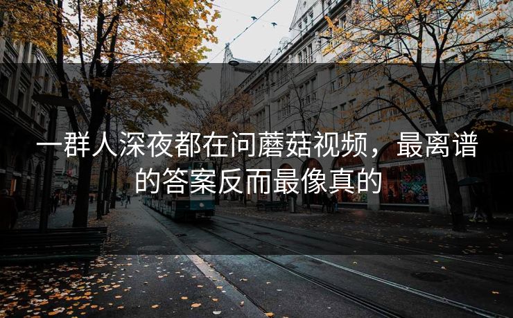 一群人深夜都在问蘑菇视频，最离谱的答案反而最像真的