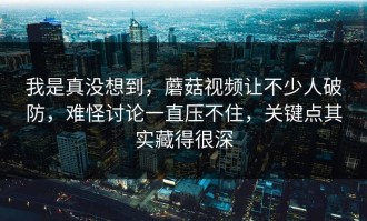 我是真没想到，蘑菇视频让不少人破防，难怪讨论一直压不住，关键点其实藏得很深