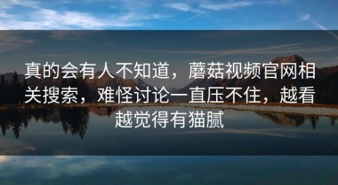 真的会有人不知道，蘑菇视频官网相关搜索，难怪讨论一直压不住，越看越觉得有猫腻