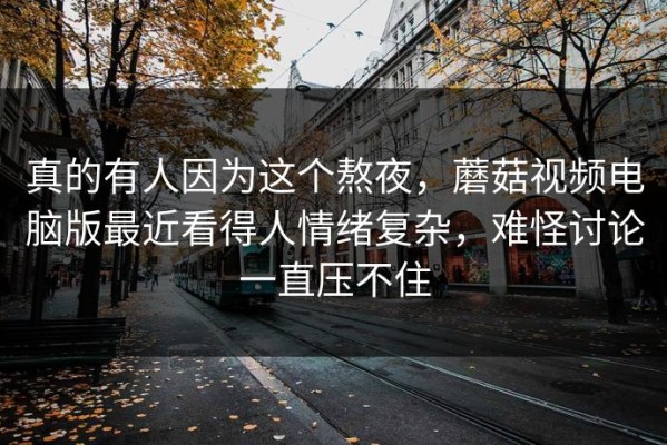 真的有人因为这个熬夜，蘑菇视频电脑版最近看得人情绪复杂，难怪讨论一直压不住