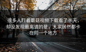 很多人盯着蘑菇视频下载看了半天，却没发现最离谱的是，大家居然都卡在同一个地方