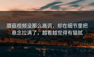 蘑菇视频没那么高调，却在细节里把悬念拉满了，越看越觉得有猫腻
