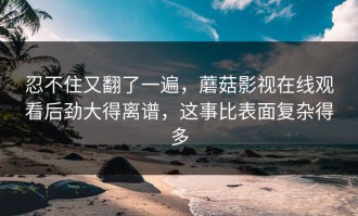 忍不住又翻了一遍，蘑菇影视在线观看后劲大得离谱，这事比表面复杂得多
