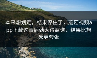 本来想划走，结果停住了，蘑菇视频app下载这事后劲大得离谱，结果比想象更夸张