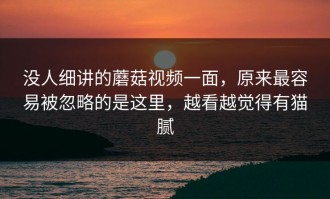 没人细讲的蘑菇视频一面，原来最容易被忽略的是这里，越看越觉得有猫腻