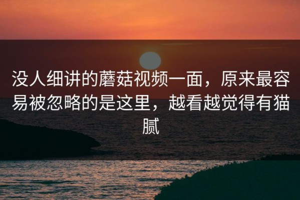 没人细讲的蘑菇视频一面，原来最容易被忽略的是这里，越看越觉得有猫腻