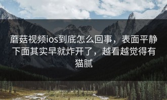 蘑菇视频ios到底怎么回事，表面平静下面其实早就炸开了，越看越觉得有猫腻