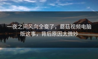 一夜之间风向全变了，蘑菇视频电脑版这事，背后原因太微妙