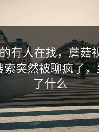 别笑，真的有人在找，蘑菇视频app下载相关搜索突然被聊疯了，到底发生了什么