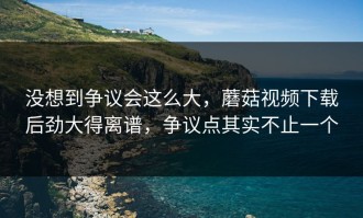 没想到争议会这么大，蘑菇视频下载后劲大得离谱，争议点其实不止一个