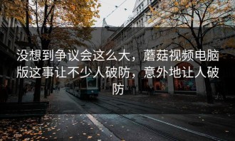 没想到争议会这么大，蘑菇视频电脑版这事让不少人破防，意外地让人破防