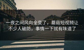 一夜之间风向全变了，蘑菇短视频让不少人破防，事情一下就有味道了