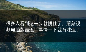 很多人看到这一步就愣住了，蘑菇视频电脑版最近，事情一下就有味道了