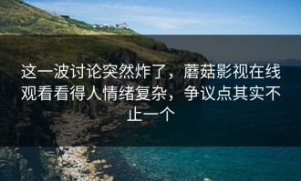 这一波讨论突然炸了，蘑菇影视在线观看看得人情绪复杂，争议点其实不止一个