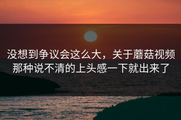 没想到争议会这么大，关于蘑菇视频那种说不清的上头感一下就出来了