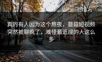真的有人因为这个熬夜，蘑菇短视频突然被聊疯了，难怪最近搜的人这么多