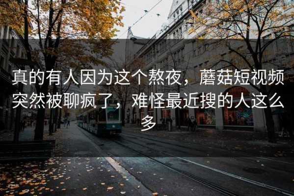 真的有人因为这个熬夜，蘑菇短视频突然被聊疯了，难怪最近搜的人这么多