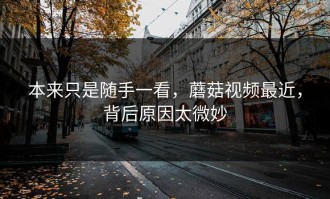 本来只是随手一看，蘑菇视频最近，背后原因太微妙