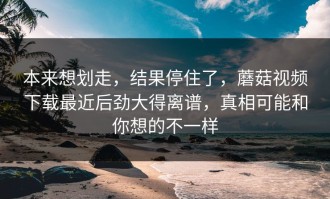 本来想划走，结果停住了，蘑菇视频下载最近后劲大得离谱，真相可能和你想的不一样