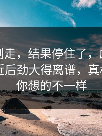 本来想划走，结果停住了，蘑菇视频下载最近后劲大得离谱，真相可能和你想的不一样