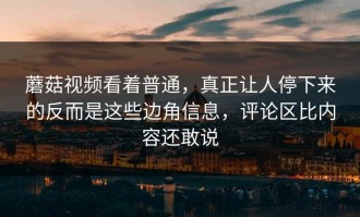 蘑菇视频看着普通，真正让人停下来的反而是这些边角信息，评论区比内容还敢说